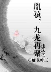 (還珠同人)還珠之胤禛,九龍再聚